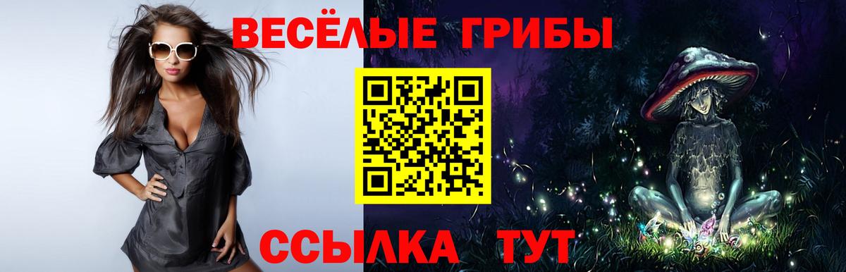 Галлюциногенные грибы Magic Shrooms Искитим